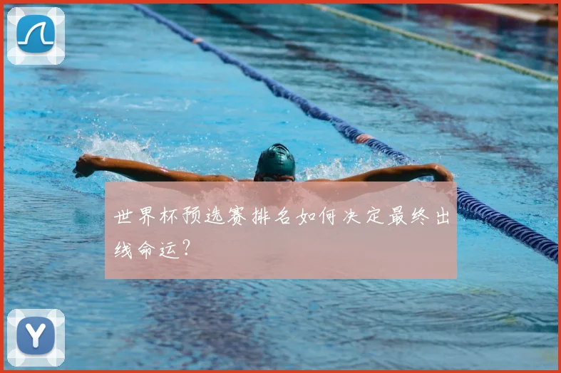 世界杯预选赛排名如何决定最终出线命运?