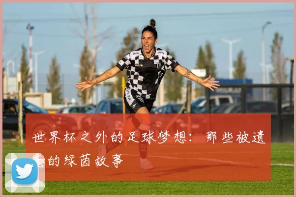 世界杯之外的足球梦想：那些被遗忘的绿茵故事