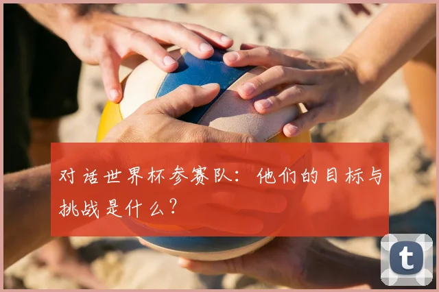对话世界杯参赛队：他们的目标与挑战是什么？